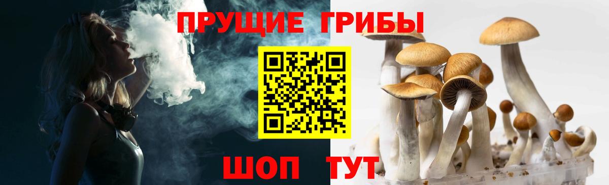 Псилоцибиновые грибы GOLDEN TEACHER  Вход с VPN  Строитель 